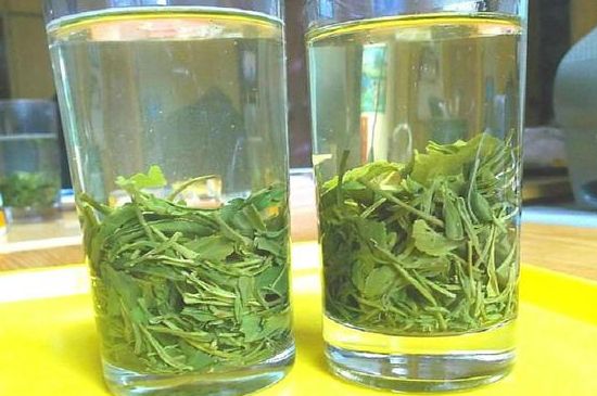 茶葉為什么不能亂送人，買茶葉一次送一盒還是兩盒