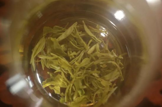 碧螺春正確泡法和飲用，碧螺春茶泡茶方法與溫度