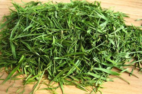 哪類人不適合喝石竹茶，石竹茶的功效與禁忌