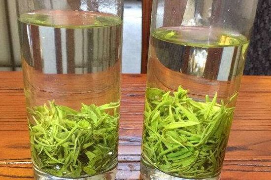 黃金茶的功效及禁忌癥，黃金茶有什么副作用嗎？