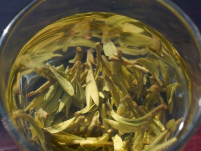 安吉白茶的功效與作用，簡單概括安吉白茶功效