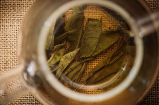 苦丁茶副作用，苦丁可以經(jīng)常喝嗎？