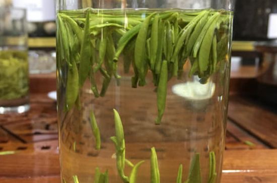 雀舌茶的副作用，雀舌茶什么人不能喝？