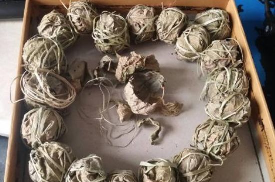 鷓鴣茶用拆開(kāi)泡嗎，鷓鴣茶要解開(kāi)繩子泡嗎