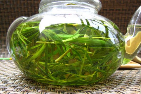 竹葉茶的禁忌，竹葉泡茶的功效禁忌