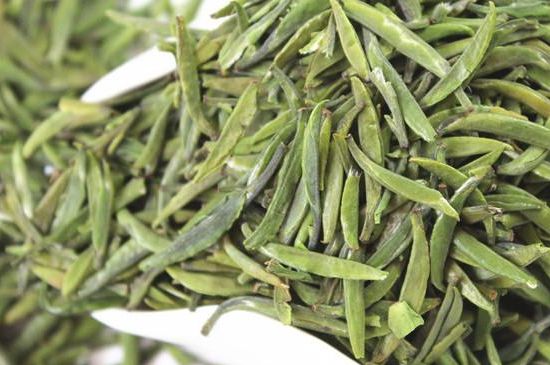雀舌茶什么人不能喝，雀舌茶的功效與禁忌
