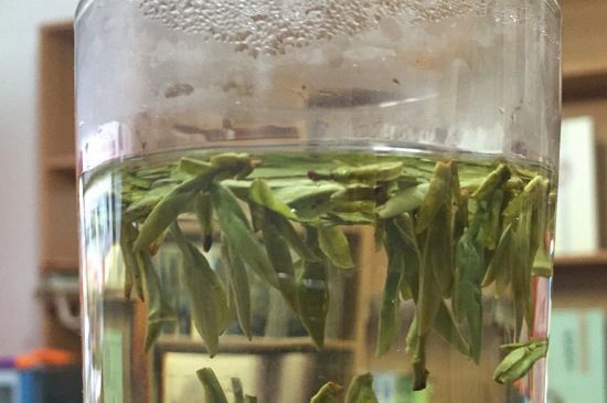 煮茶器能煮龍井嗎，龍井茶能不能用煮茶器圖