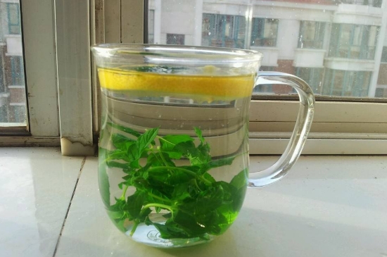 薄荷茶的功效與作用，喝薄荷茶有什么好處？