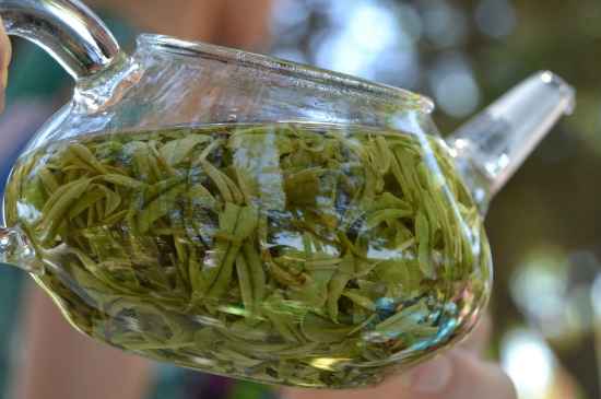 新手學(xué)泡茶的基本常識(shí)，從零開(kāi)始學(xué)泡茶