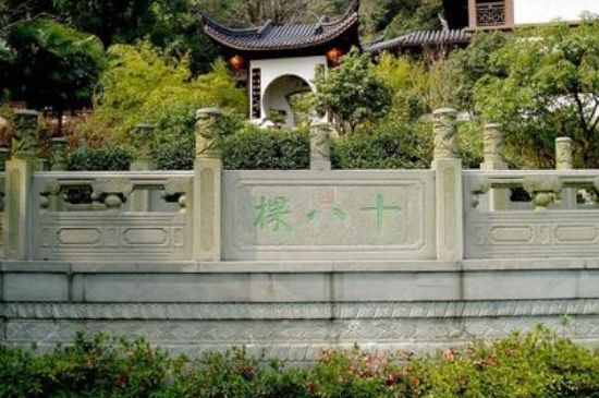 世界最貴的茶葉排行榜，十大最貴的茶