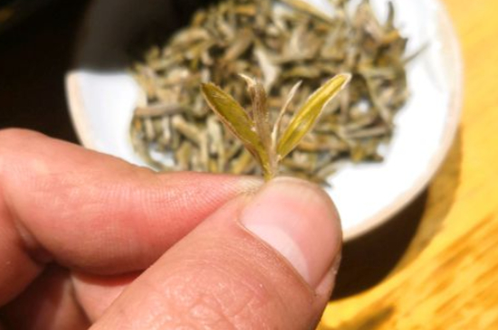 六大茶類哪種適合長(zhǎng)期存放，日常如何保存方法一覽？