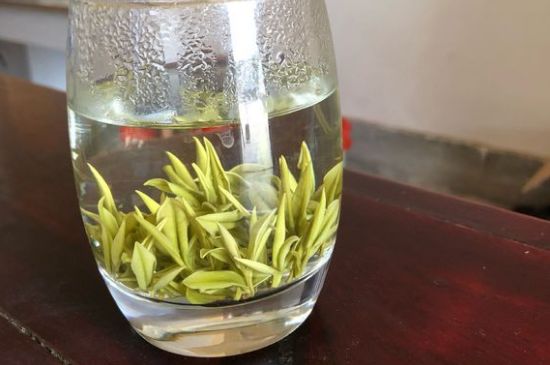 安吉白茶耐寒嗎，白茶適合放冰箱嗎