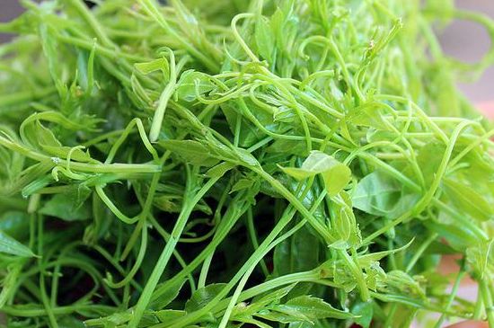 茅巖莓茶別名是什么，莓茶別名叫藤茶嗎？