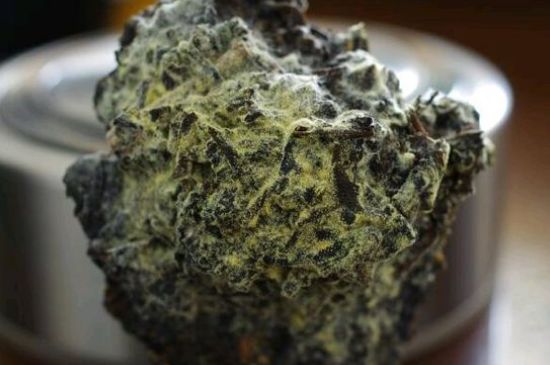 涇渭茯茶保質(zhì)期多久，陜西涇渭茯茶能放幾年