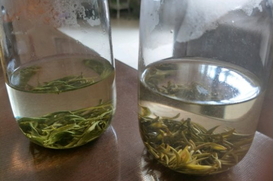 真假碧螺春泡水后區(qū)別，蘇州洞庭碧螺春怎樣鑒別好壞？