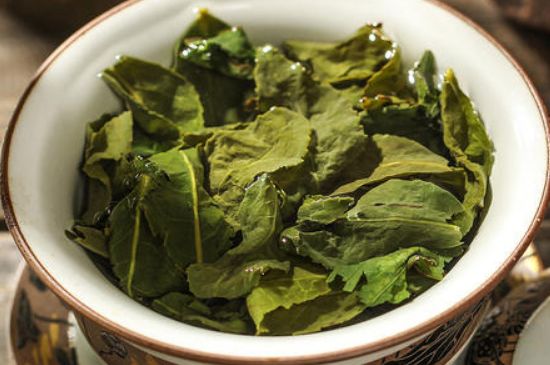 陳茶還是新茶好，茶葉是新茶好喝還是陳茶好喝