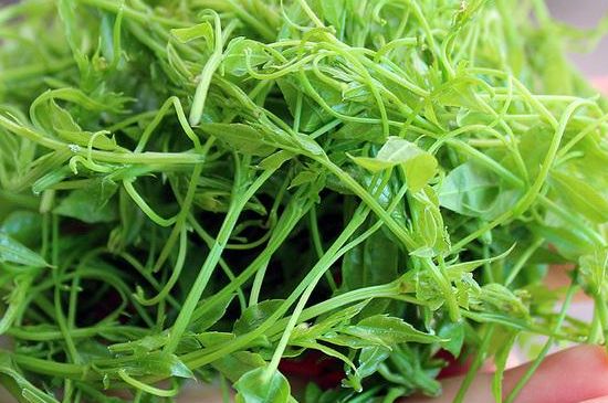 茅巖莓茶保質(zhì)期有多久，張家界莓茶存放時(shí)間長(zhǎng)了還能喝嗎？