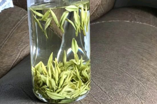 安吉白茶夏天怎么保存，安吉白茶能冷凍儲(chǔ)存嗎？