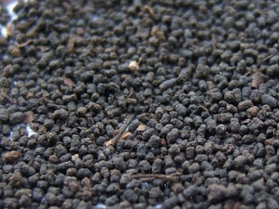圓形顆粒狀茶是什么茶，像飼料一樣一粒粒的是什么茶？