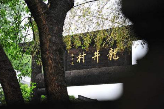 杭州買龍井茶攻略，怎么買到正宗的西湖龍井？