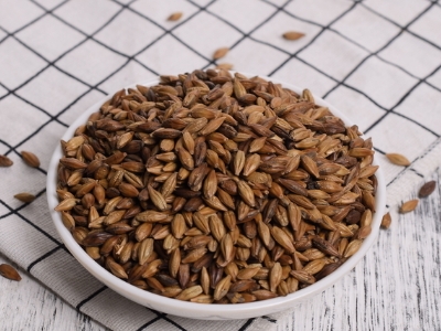 圓形顆粒狀茶是什么茶，像飼料一樣一粒粒的是什么茶？
