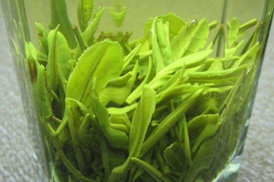 哪種茶葉可以放冰箱，哪些茶不能放冰箱？