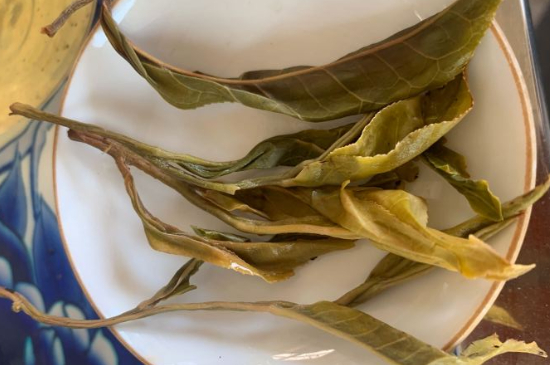 普洱茶十大學(xué)費(fèi)茶排名，吉普H是學(xué)費(fèi)茶？