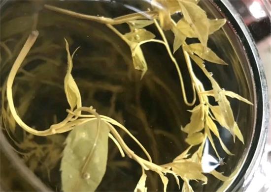 張家界茅巖莓茶與藤茶是同一種茶嗎，藤茶跟莓茶一不一樣？