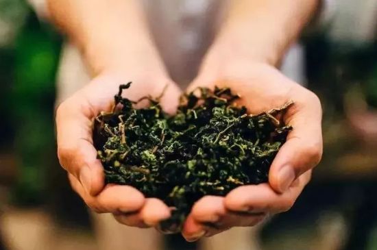 茶葉怎么炒制才香，怎樣炒茶葉更香？
