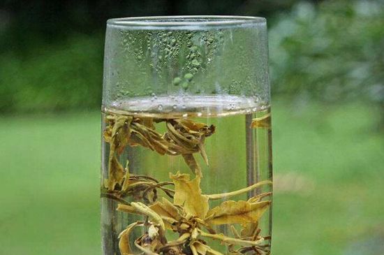 茉莉龍珠什么人不能喝，茉莉龍珠茶什么體質(zhì)不能喝？