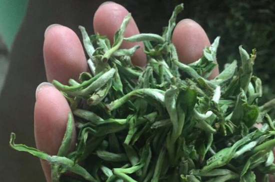 茉莉茶如何制作曬干，自制茉莉茶的做法