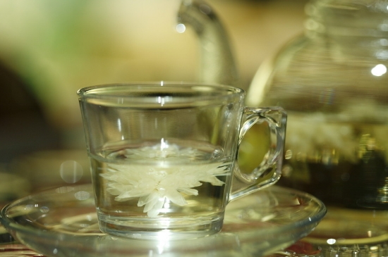 菊花茶天天喝行嗎，每天喝菊花泡茶喝好嗎？