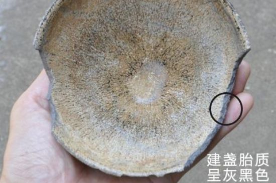 假建盞的特點(diǎn)，真假建盞區(qū)分帶圖