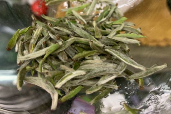 蒸汽煮茶器適合什么茶，蒸汽煮茶器適合用綠茶嗎？