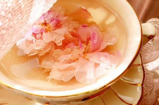 玫瑰花茶一周喝幾次，玫瑰花茶可以天天喝嗎？