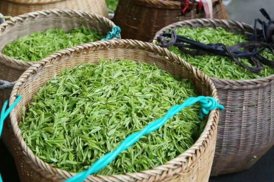 茶葉怎么炒制才香，怎樣炒茶葉更香？