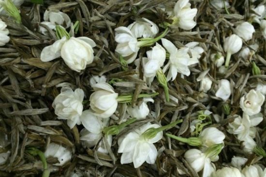 茉莉銀針口感，茉莉銀針是什么味道？