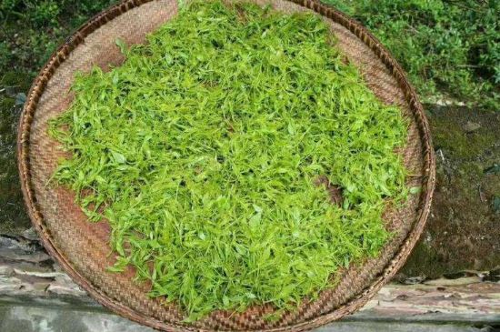 茅巖莓茶加工工藝，莓茶的工藝制作過程