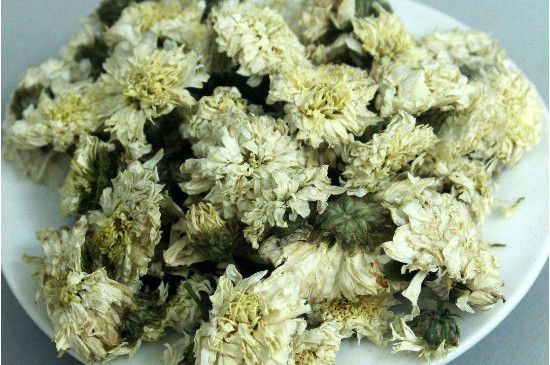 菊花茶買小朵還是大朵，泡茶用的小菊花和大菊花哪個(gè)好