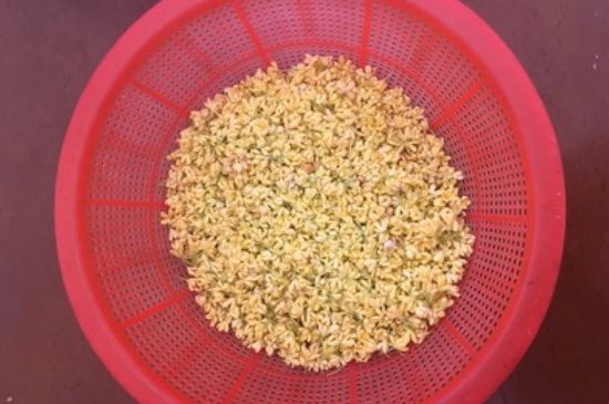 干桂花茶的制作方法，怎樣自制桂花茶？