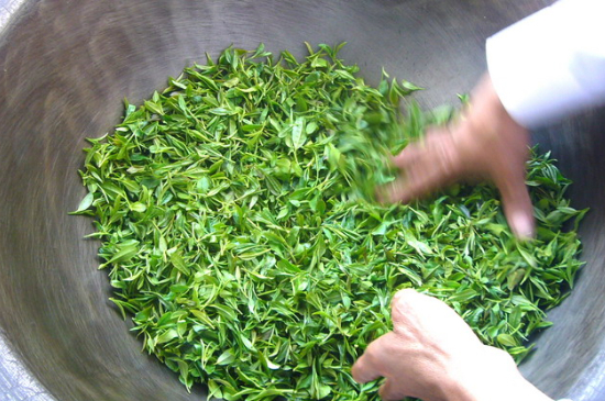 綠茶加工工藝流程圖，綠茶的加工制作包含哪幾個(gè)步驟？