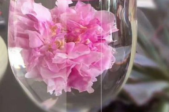 干玫瑰花泡水放幾顆，玫瑰花泡水一次放幾朵？
