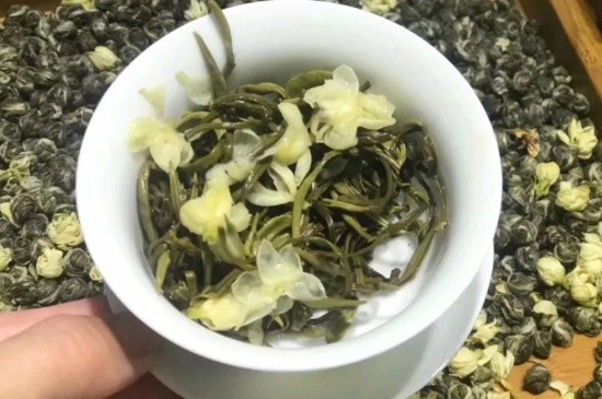 茉莉香珠跟龍珠有什么區(qū)別嗎，茉莉龍珠和茉莉香珠那個(gè)好？
