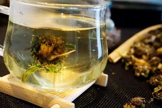 蒲公英最佳搭配，蒲公英茶和什么搭配泡水最佳