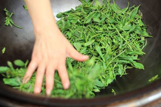 炒青綠茶與綠茶的區(qū)別，烘青和炒青哪個好喝？