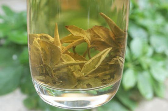 茉莉龍珠泡開后為什么都是梗，茉莉龍珠泡開后什么樣？