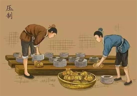制茶八步驟，制茶工藝流程圖