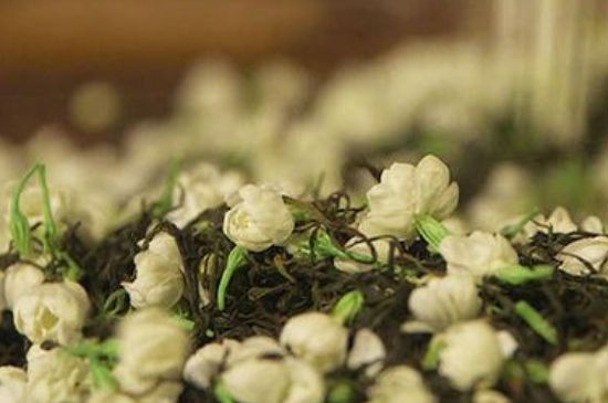 蒸茶器可以蒸花茶嗎，蒸茶器能用來蒸茉莉花茶嗎？