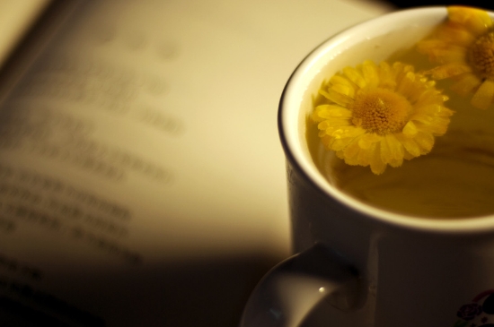 經(jīng)常菊花泡水好嗎，喝菊花茶有什么好處？