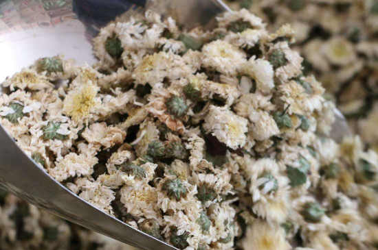 菊花茶買小朵還是大朵，泡茶用的小菊花和大菊花哪個(gè)好